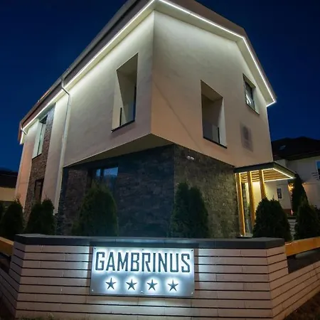 B&B Pensiunea Gambrinus ****