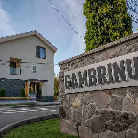 Pensiunea Gambrinus ****