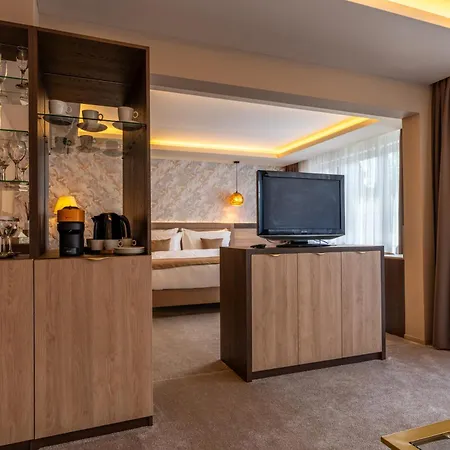 B&B Pensiunea Gambrinus ****